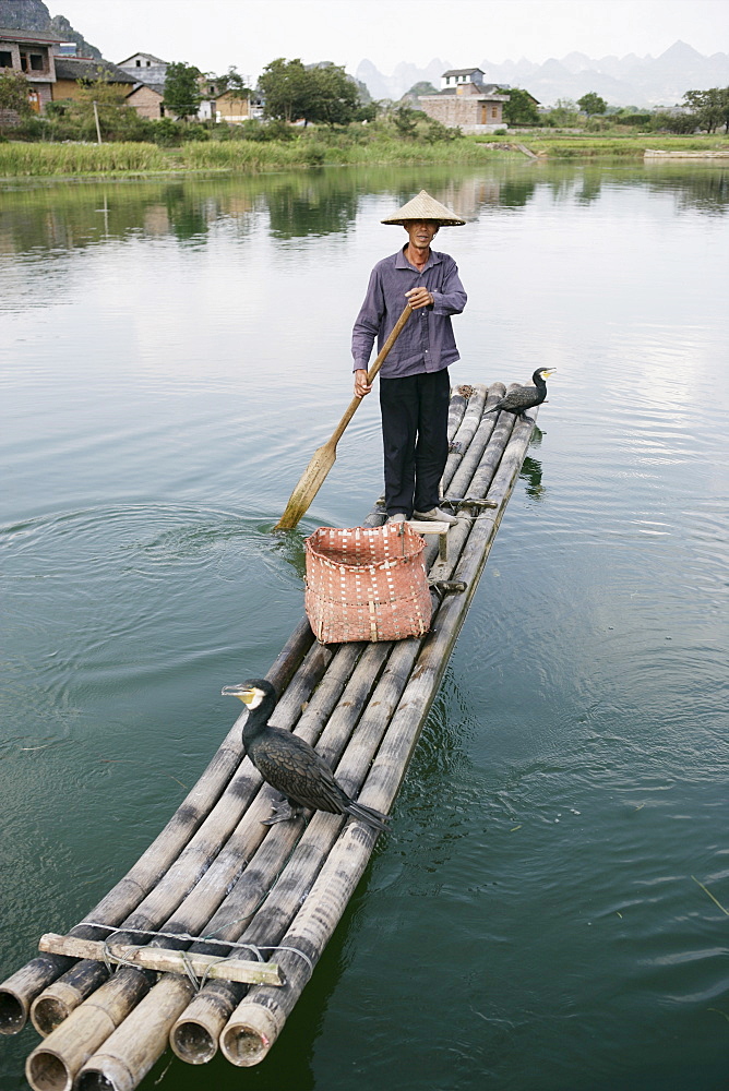 Fisherman with cormorants, Li River, Yangshuo, Guangxi Province, China, Asia