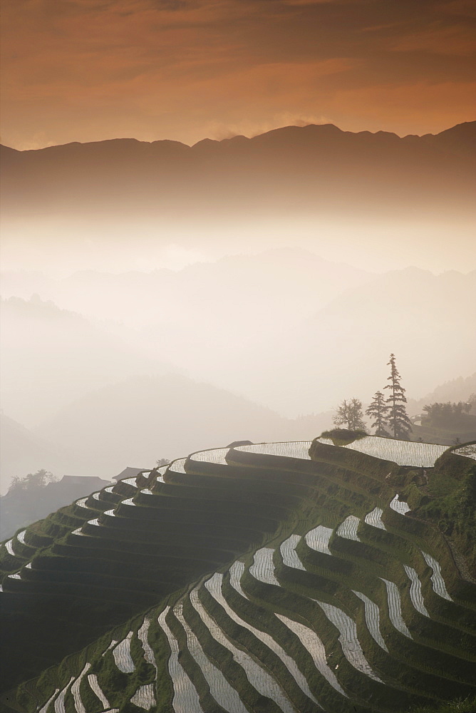 June sunrise, Longsheng terraced ricefields, Guangxi Province, China, Asia