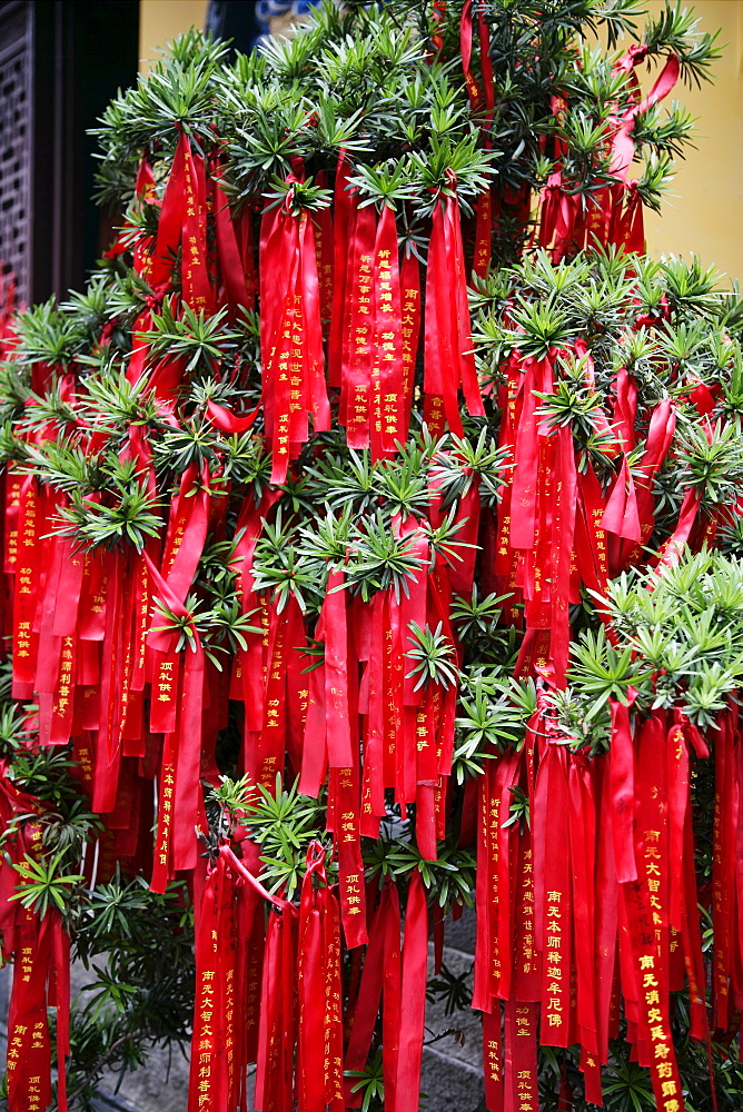 Jade Buddha Temple, Shanghai, China, Asia