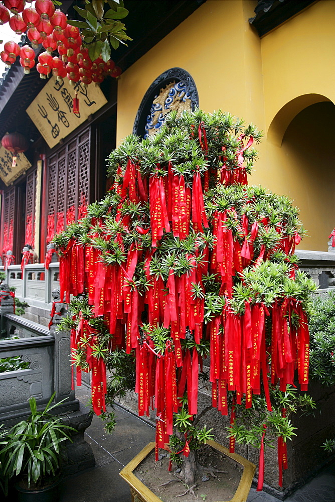 Jade Buddha Temple, Shanghai, China, Asia