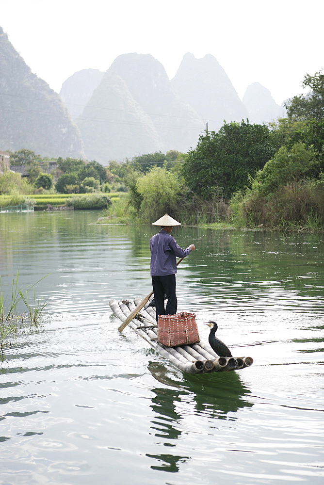 Fisherman with cormorants, Yangshuo, Li River, Guangxi Province, China, Asia