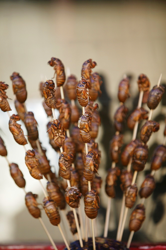 Chinese food, insects, Beijing, China, Asia