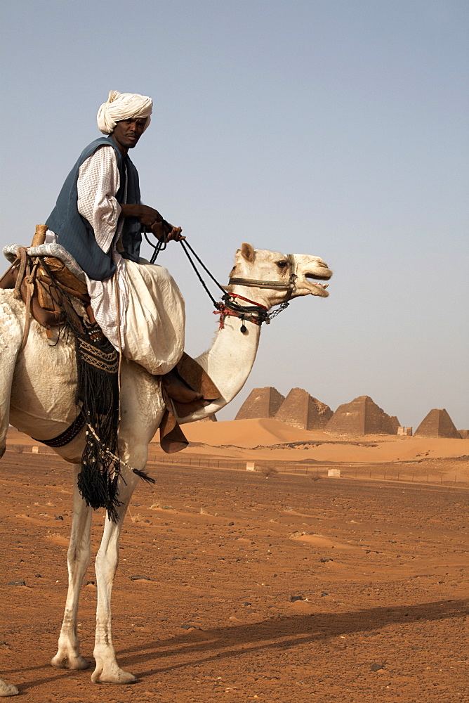 A guide and camel stand in front of the pyramids of Meroe, Sudan's most popular tourist attraction, Bagrawiyah, Sudan, Africa