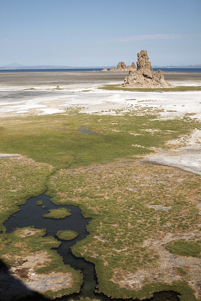 The desolate landscape of Lac Abbe, dotted with limestone chimneys, Djibouti, Africa