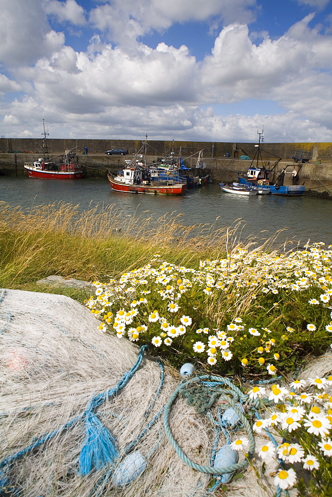 Helvick Head Pier, County Waterford, Munster, Republic of Ireland, Europe