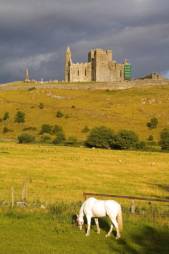 Rock of Cashel, Cashel Town, County Tipperary, Munster, Republic of Ireland, Europe