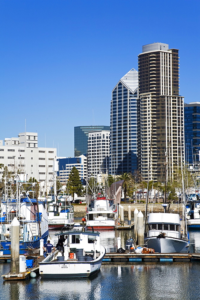 Tuna Harbor and skyline, San Diego, California, United States of America, North America