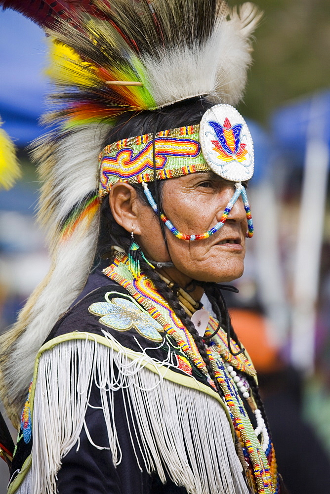 Dancer, Annual Indian Culture Festival in Balboa Park, San Diego, California, United States of America, North America