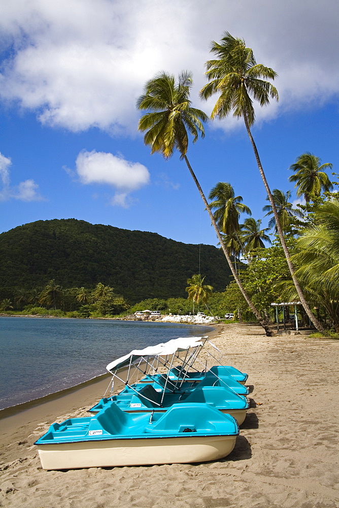 Purple Turtle Beach Club, Prince Rupert Bay, Portsmouth, Dominica, Lesser Antilles, Windward Islands, West Indies, Caribbean, Central America