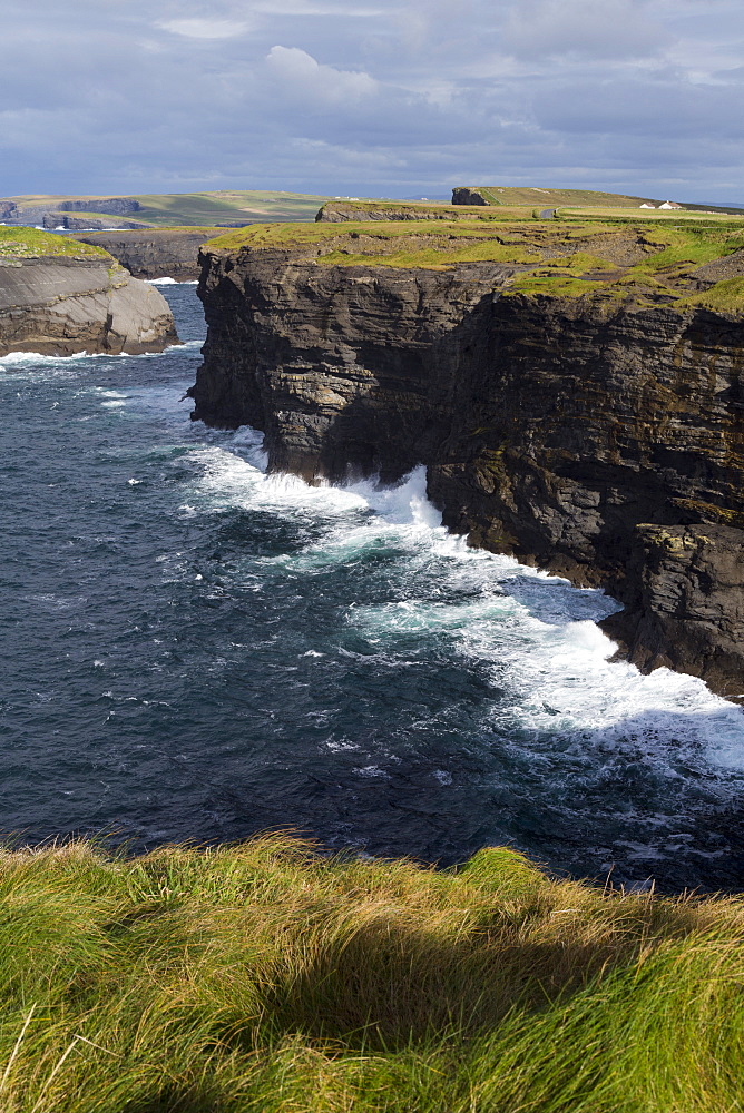 Cliffs on Loop Head, Kilrush, County Clare, Munster, Republic of Ireland, Europe