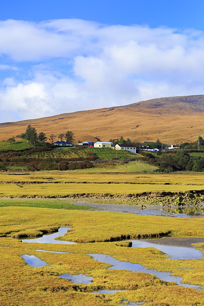 Landscape near Mulranny, County Mayo, Connaught (Connacht), Republic of Ireland, Europe