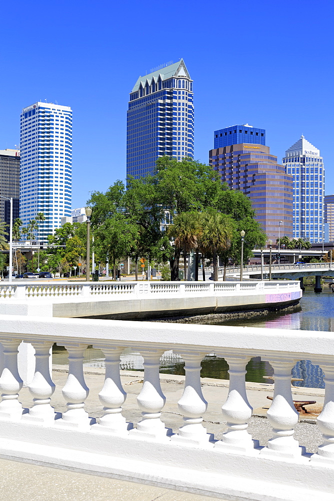 Tampa skyline and Linear Park, Tampa, Florida, United States of America, North America