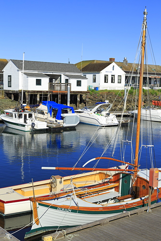 Marina in Port Townsend, Puget Sound, Washington State, United States of America, North America