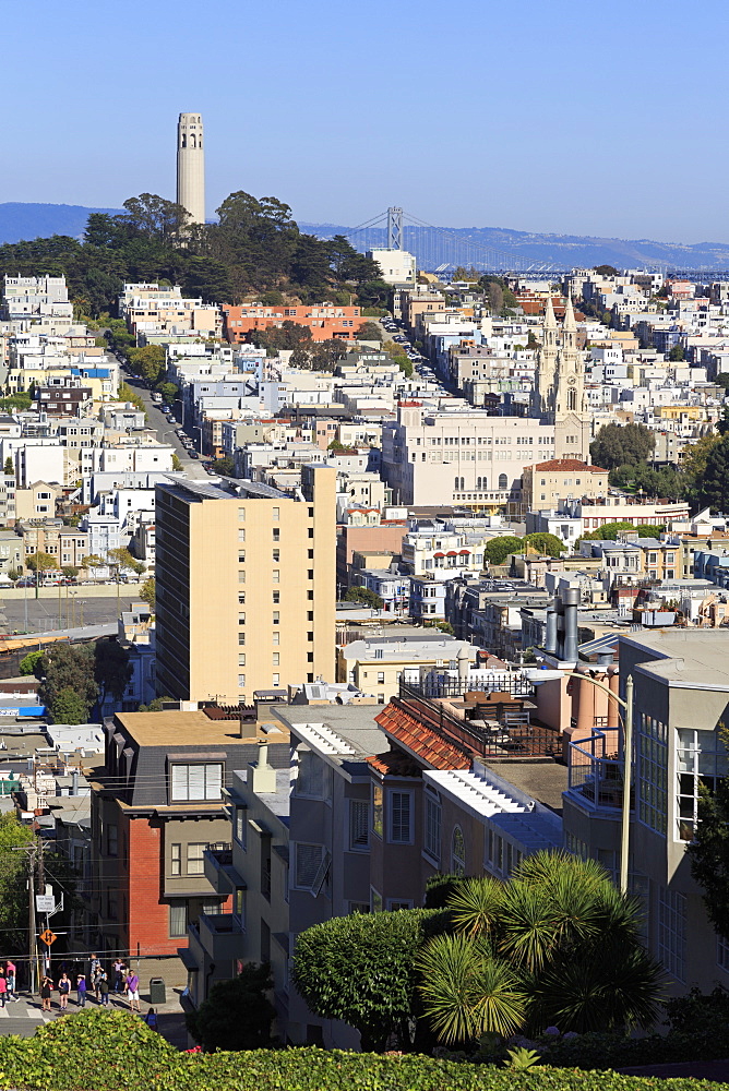 Lombard Street, San Francisco, California, United States of America, North America 