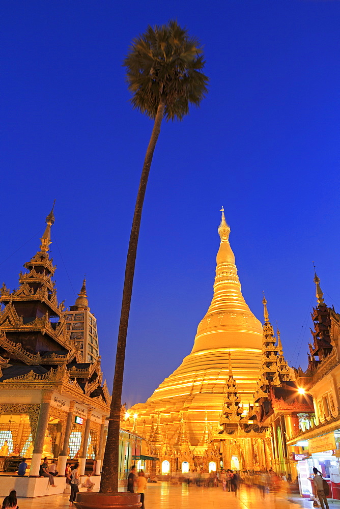 Shwedagon Pagoda, Yangon (Rangoon), Myanmar (Burma), Asia