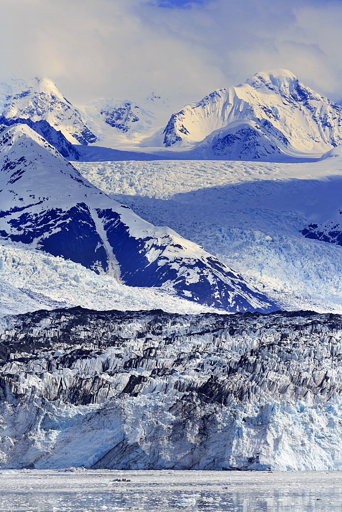 Harvard Glacier in College Fjord, Southeast Alaska, United States of America, North America