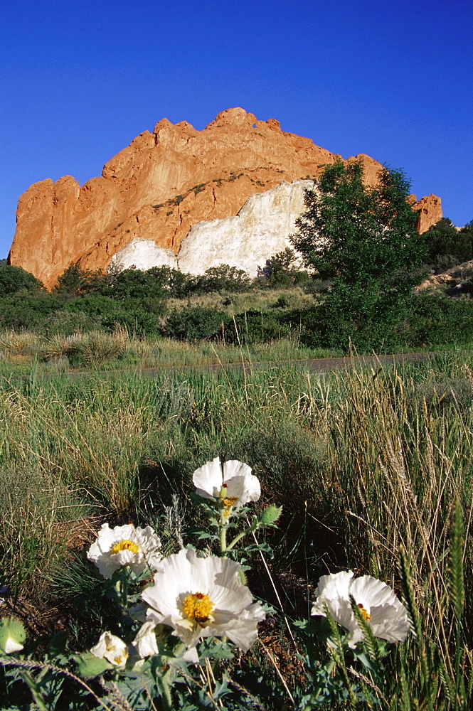 Garden of the Gods Park, Colorado Springs, Colorado, United States of America, North America