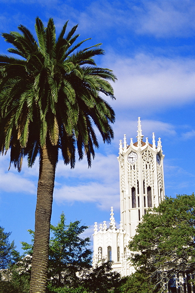 Old Arts Building and clock tower, University of Auckland, Auckland, North Island, New Zealand, Pacific