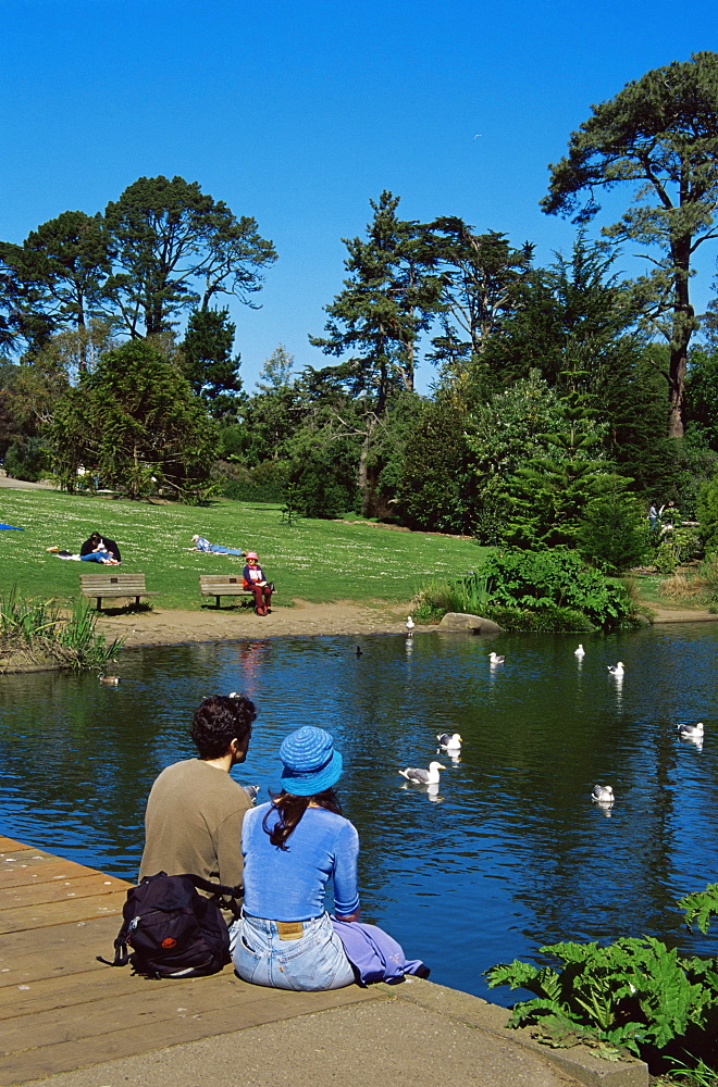 Botanical Gardens, Golden Gate Park, San Francisco, California, United States of America, North America