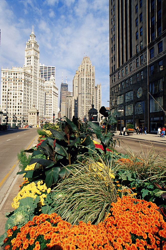 Michigan Avenue and Wrigley Tower, Chicago, Illinois, United States of America, North America