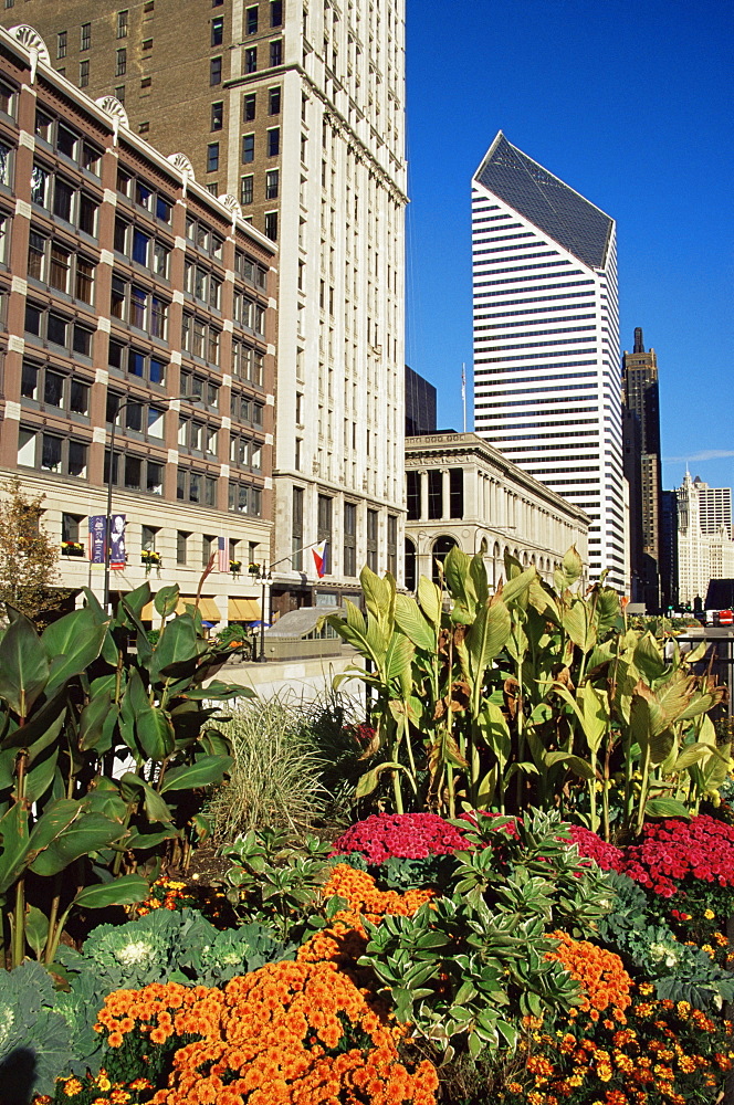 Smurfit-Stone Tower, Michigan Avenue, Chicago, Illinois, United States of America, North America