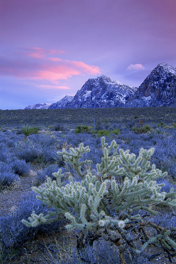 Winter, Red Rock Canyon, Las Vegas, Nevada, United States of America, North America