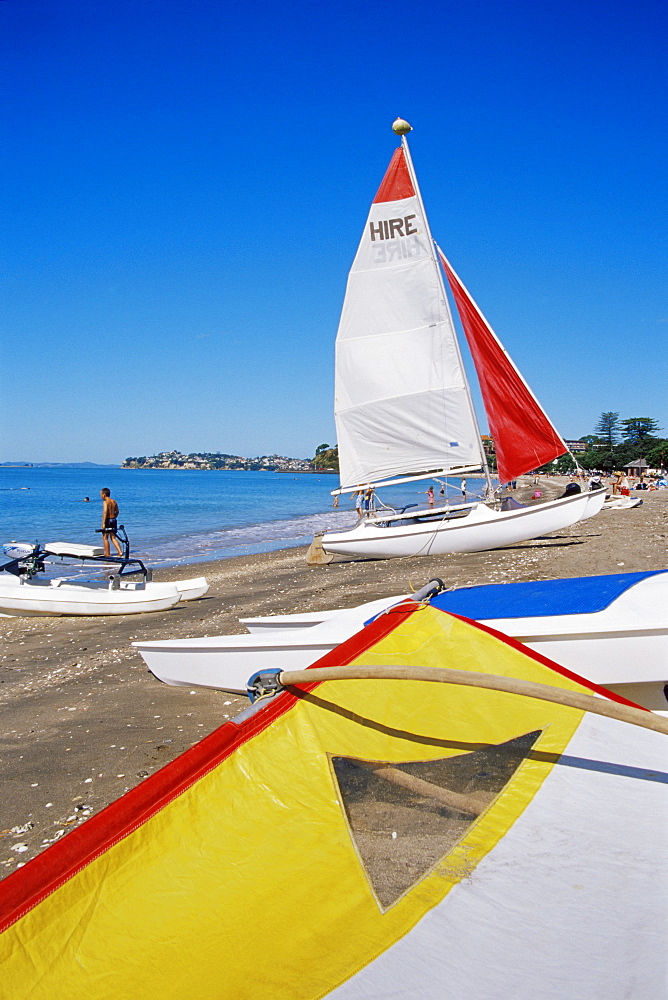 Mission Beach, Auckland, North Island, New Zealand, Pacific