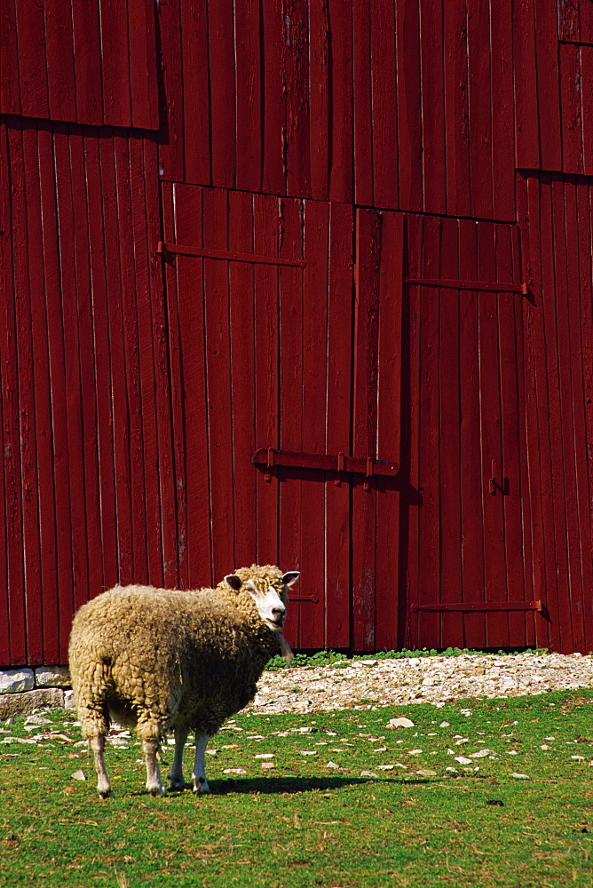 Barn, Shaker village of Pleasant Hill, Lexington area, Kentucky, United States of America, North America