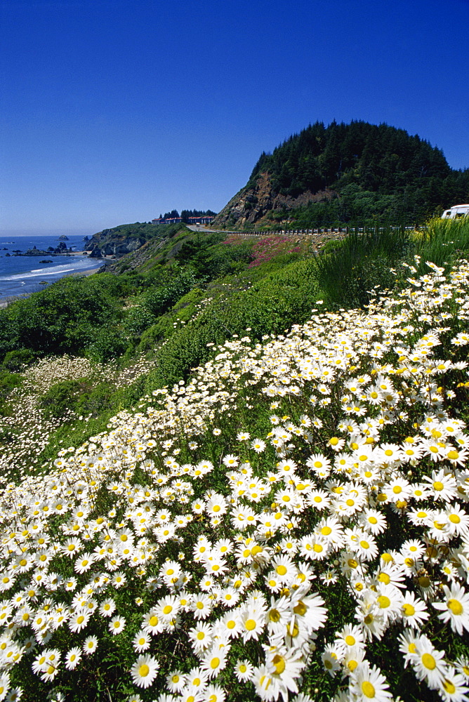 Boardman State Park, Brookings, Oregon, United States of America, North America