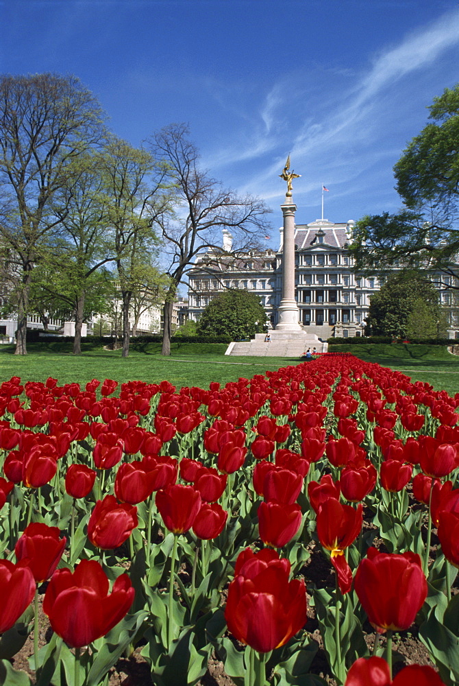 Army Memorial and Old Executive Office Building, National Mall, Washington D.C., United States of America, North America