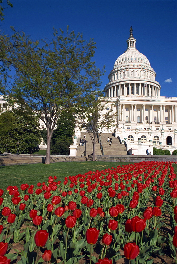 Capitol, Washington D.C., United States of America, North America