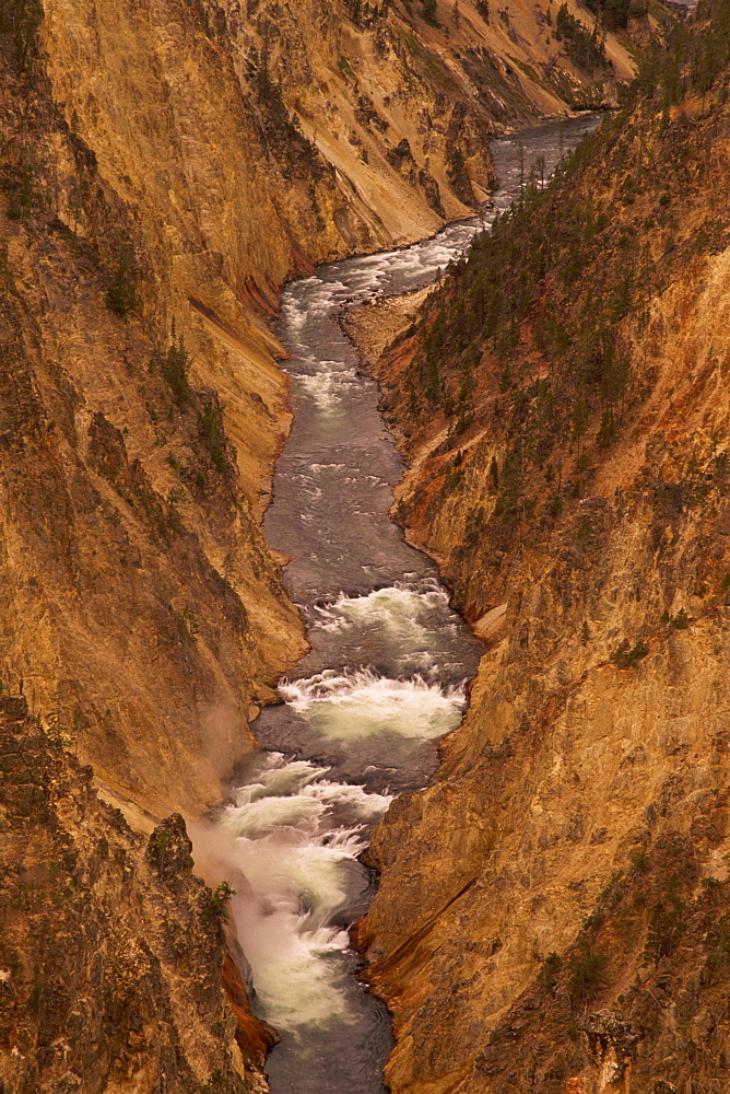 Grand Canyon, Yellowstone National Park, UNESCO World Heritage Site, Wyoming, United States of America, North America