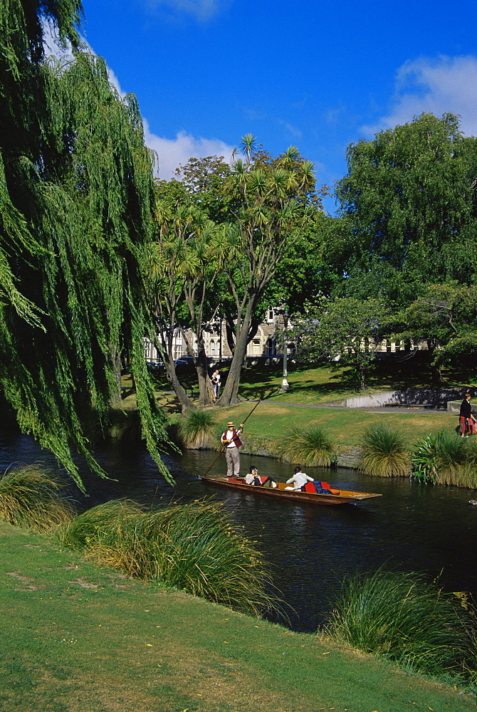 Punting on the Avon River, Christchurch, Canterbury, South Island, New Zealand, Pacific