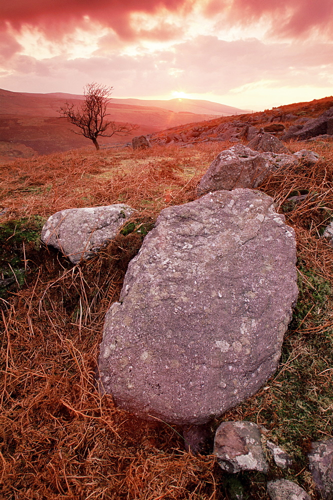 Knockmealdown Mountains, County Tipperary, Munster, Republic of Ireland, Europe