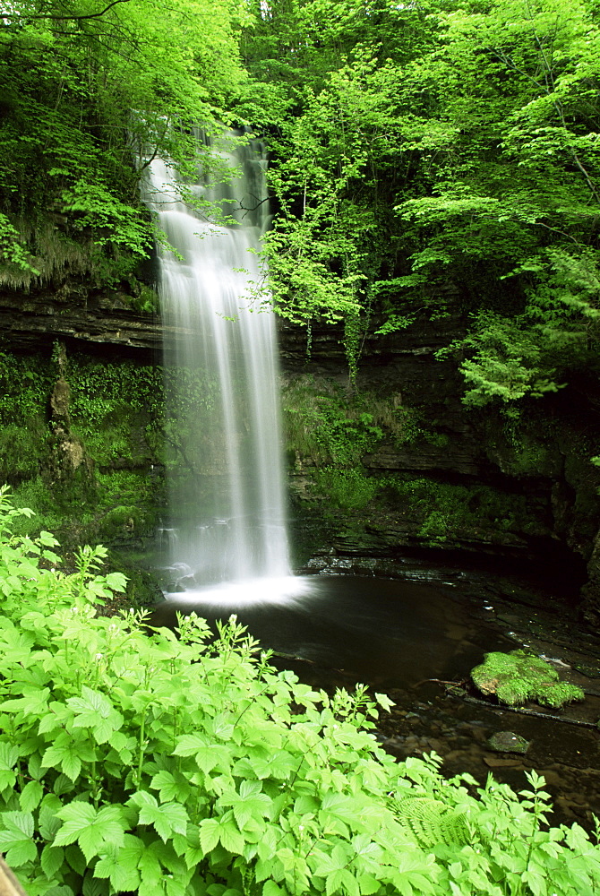 Glencar waterfall, County Leitrim, Connacht, Republic of Ireland, Europe