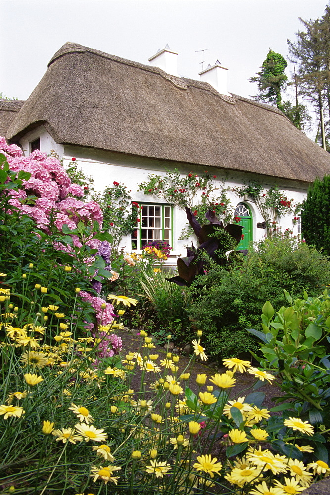 Thatched cottage, Stradbally village, County Waterford, Munster, Republic of Ireland, Europe