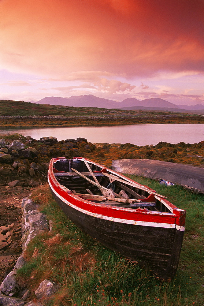 Inishnee Island, County Galway, Connacht, Republic of Ireland, Europe