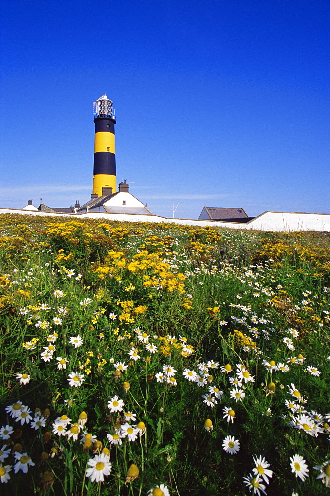 St. John's Point lighthouse, Killough, County Down, Ulster, Northern Ireland, United Kingdom, Europe