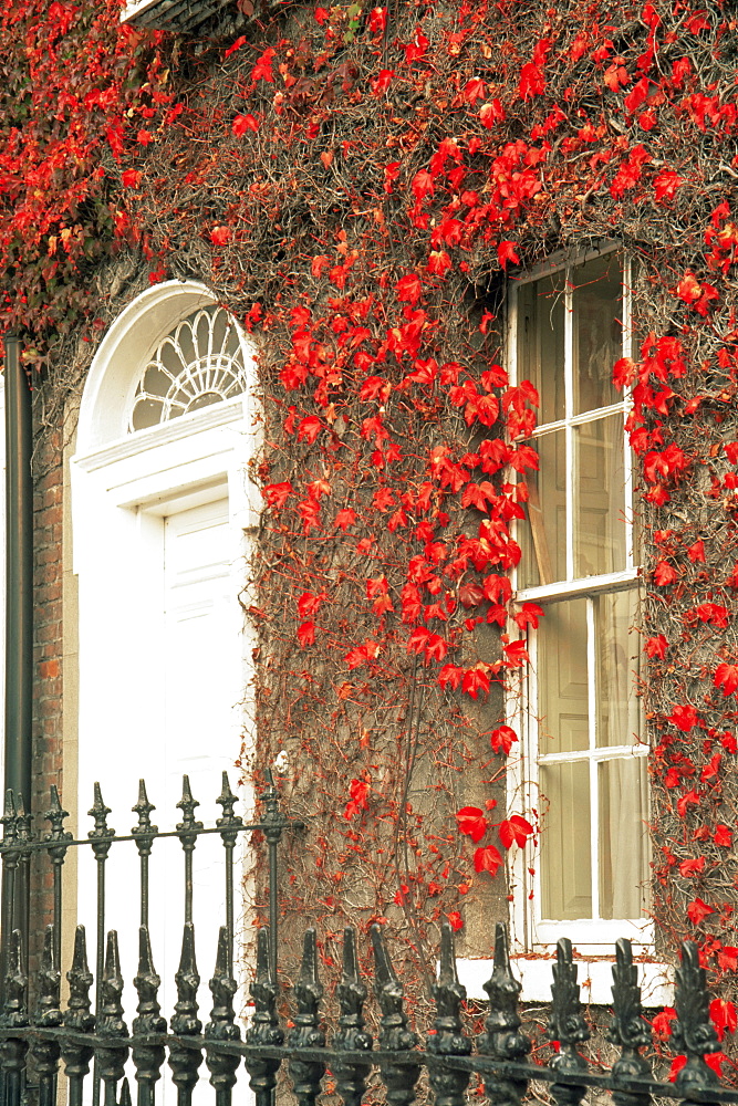 Georgian door, St. Stephen's Green, Dublin City, Republic of Ireland, Europe