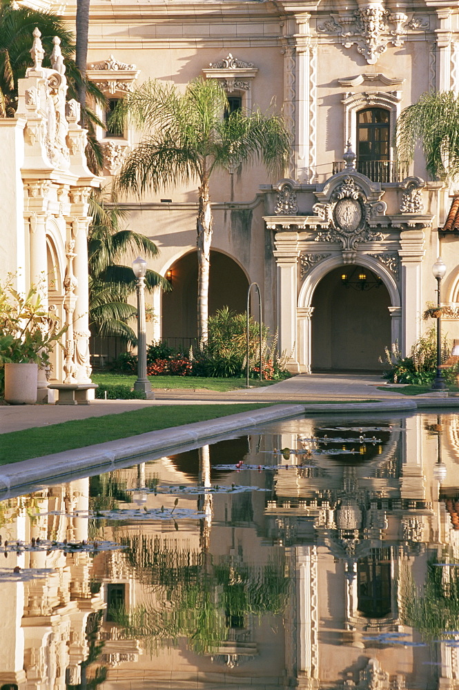 Lily pond, Balboa Park, San Diego, California, United States of America, North America