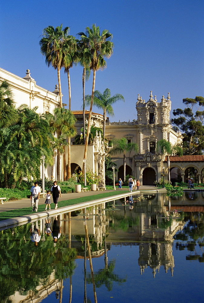 Lily pond, Balboa Park, San Diego, California, United States of America, North America