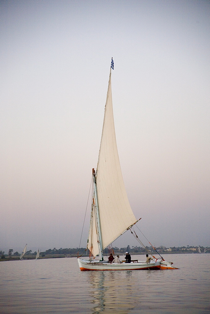 Felucca, River Nile, Egypt, North Africa, Africa