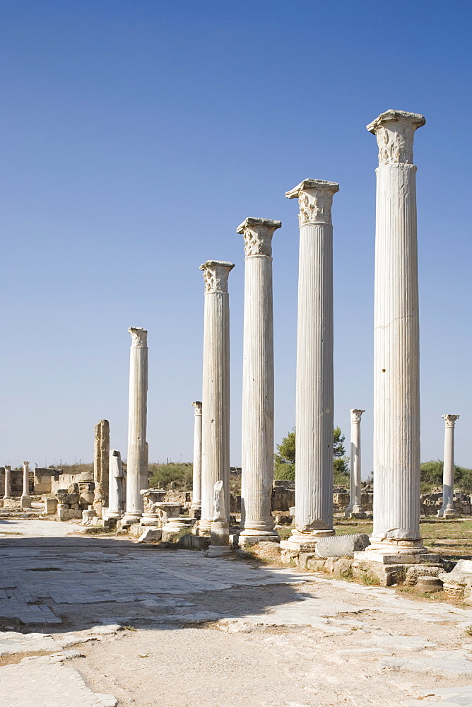 The archaeological site of Salamis, Salamis, North Cyprus, Europe