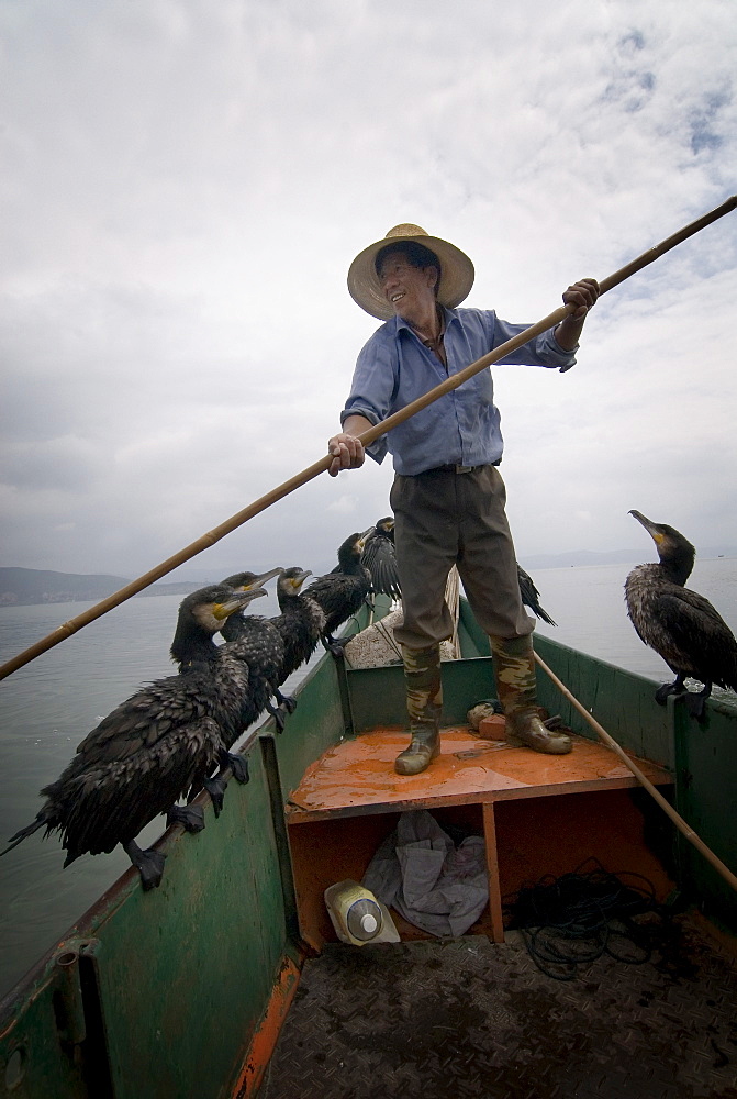 Cormorant fisherman with his birds, Erhai Lake, Dali, Yunnan, China, Asia