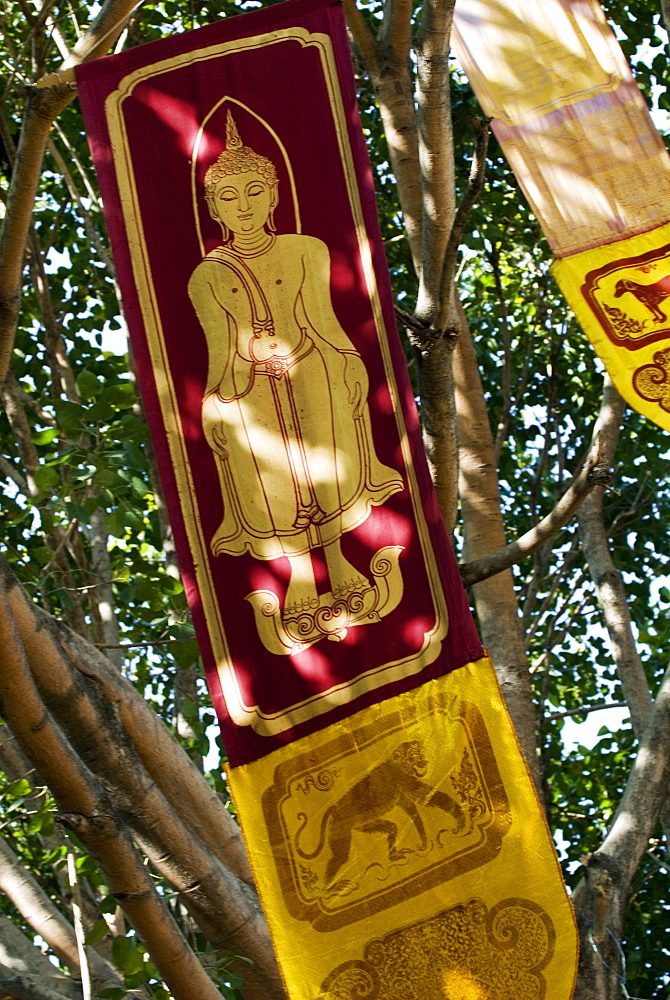 Buddhist flags in temple trees, Chiang Mai, Thailand, Southeast Asia, Asia