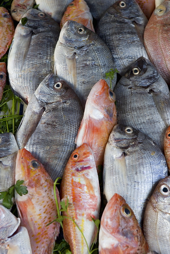 Fish for sale in the souk, Essaouira, Morocco, North Africa, Africa