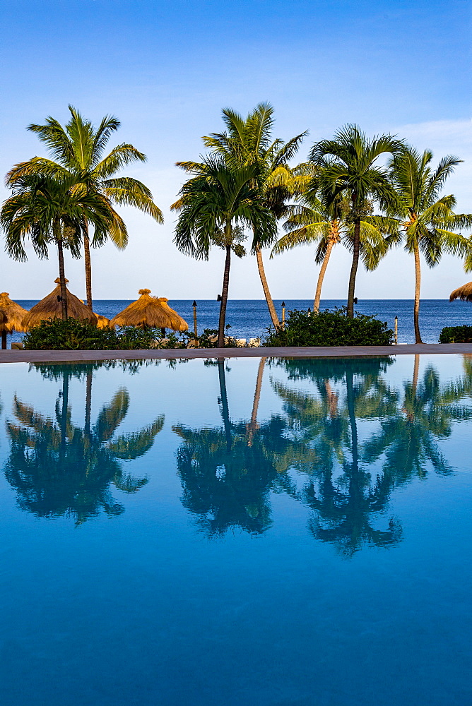 Reflections of palm trees in the swimming pool at Sugar Beach, St. Lucia, Windward Islands, West Indies, Caribbean, Central America