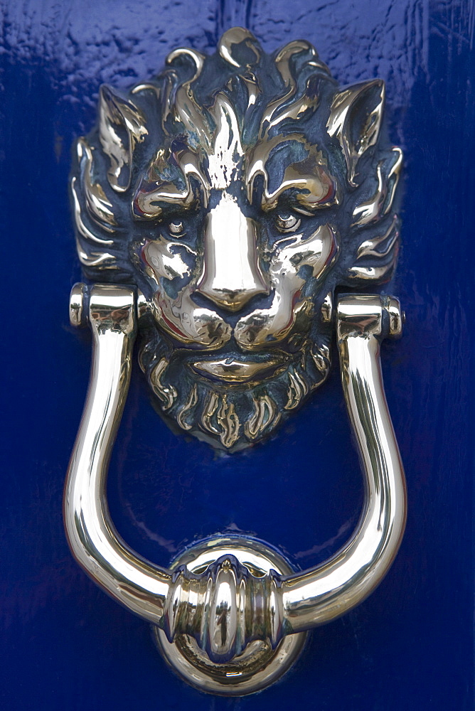 Lion polished brass door knocker, Georgian house, Merrion Square, Dublin, Republic of Ireland, Europe