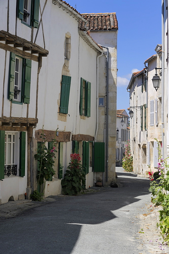 Street lined with hollyhocks, St. Martin-de-Re, Ile de Re Charente-Maritime, France, Europe