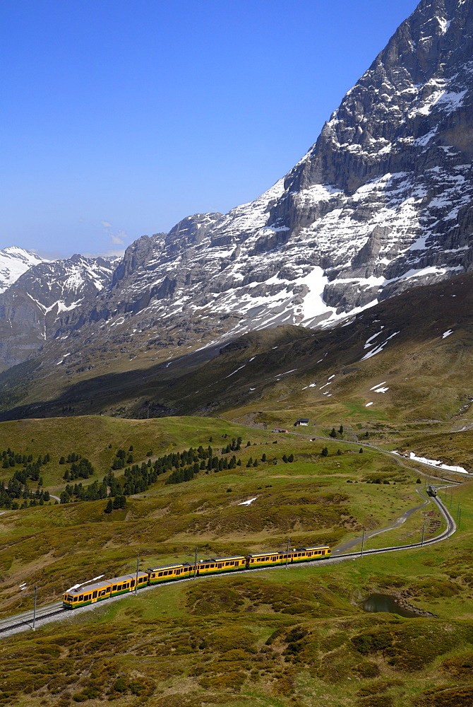 Train from Grindelwald on route to Kleine Scheidegg, Bernese Oberland, Swiss Alps, Switzerland, Europe